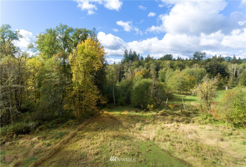 248 -51 Anderson, Glenoma, Washington 98336, ,Land,For Sale,-51 Anderson,NWM1852396