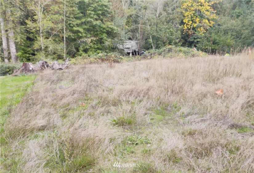 11919 415th, Eatonville, Washington 98328, ,Land,For Sale,415th,NWM1850460