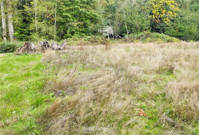 11919 415th, Eatonville, Washington 98328, ,Land,For Sale,415th,NWM1850460