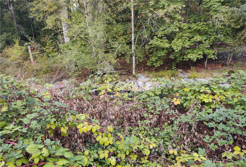 11919 415th, Eatonville, Washington 98328, ,Land,For Sale,415th,NWM1850460