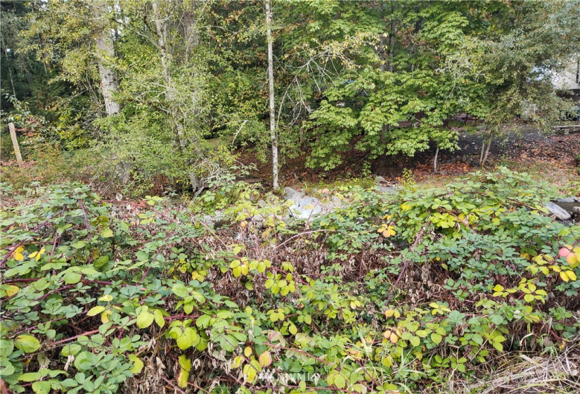 11919 415th, Eatonville, Washington 98328, ,Land,For Sale,415th,NWM1850460