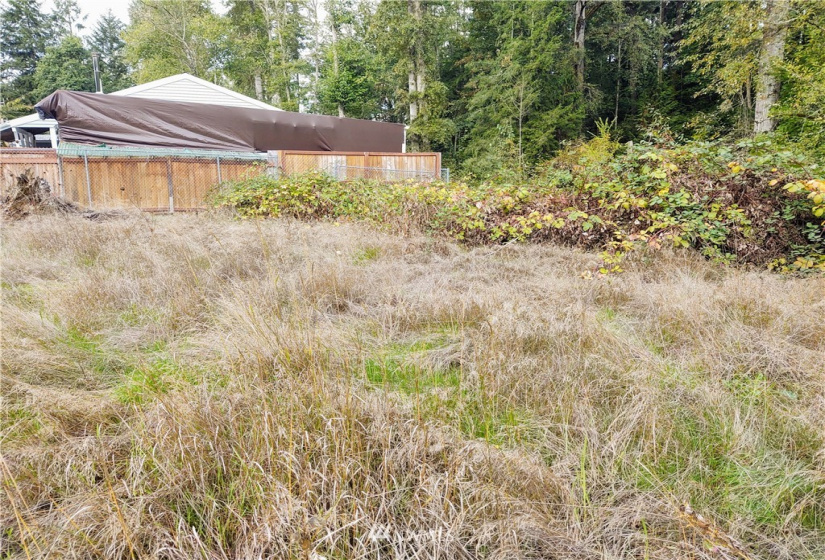 11919 415th, Eatonville, Washington 98328, ,Land,For Sale,415th,NWM1850460