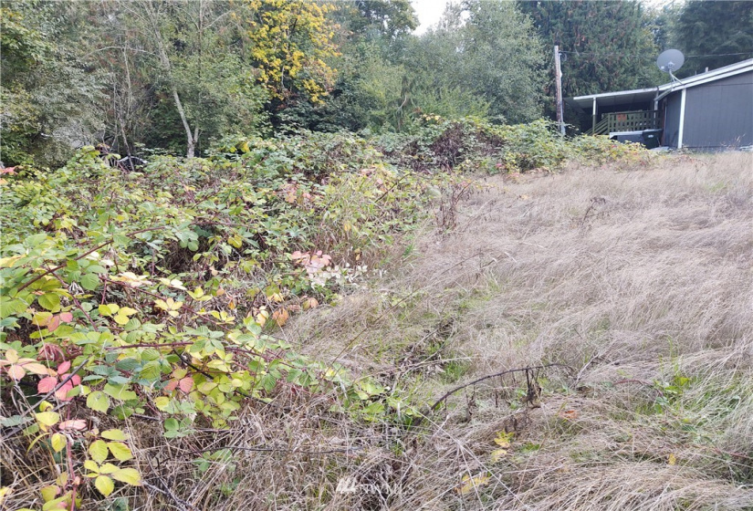 11919 415th, Eatonville, Washington 98328, ,Land,For Sale,415th,NWM1850460