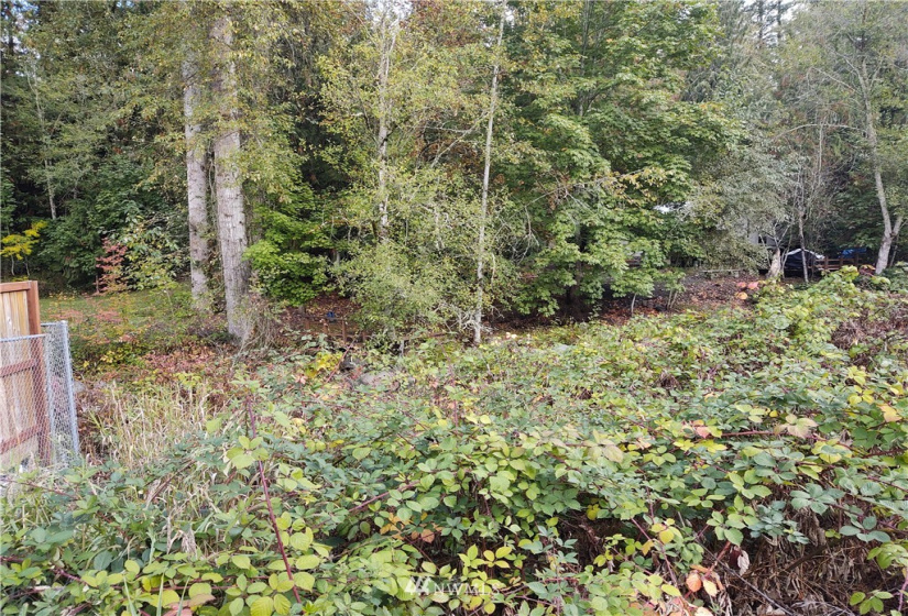 11919 415th, Eatonville, Washington 98328, ,Land,For Sale,415th,NWM1850460