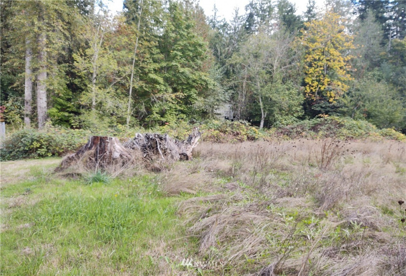 11919 415th, Eatonville, Washington 98328, ,Land,For Sale,415th,NWM1850460