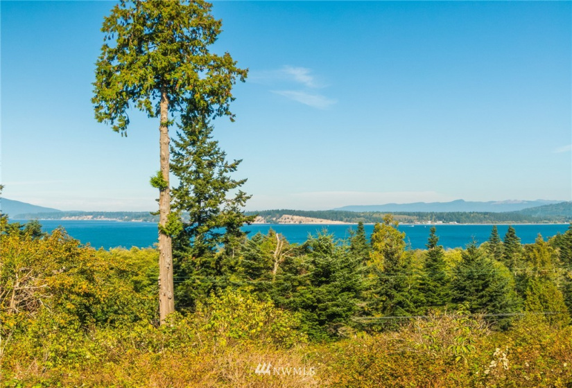 0 Ferry Terminal Road, Anacortes, Washington 98221, ,Land,For Sale,NORMAN & WOOD'S SUB-DIV TO ANA PTN,Ferry Terminal Road,NWM1851360