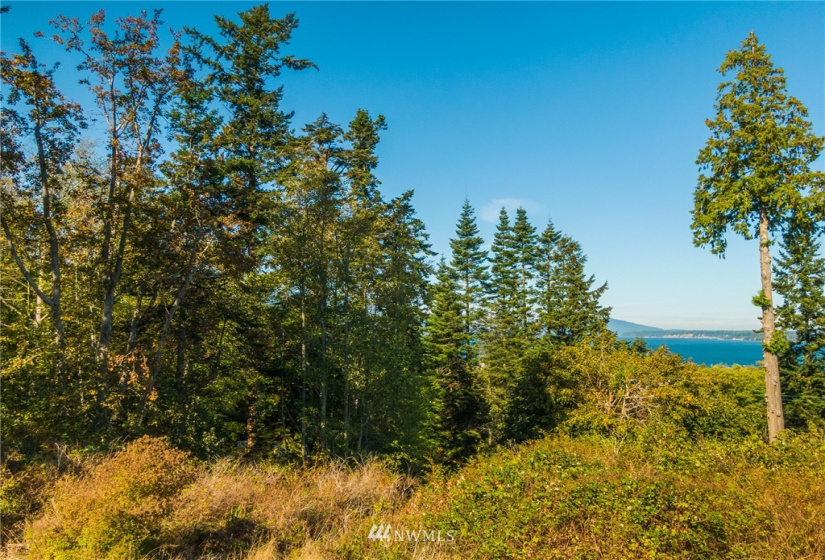 0 Ferry Terminal Road, Anacortes, Washington 98221, ,Land,For Sale,NORMAN & WOOD'S SUB-DIV TO ANA PTN,Ferry Terminal Road,NWM1851360