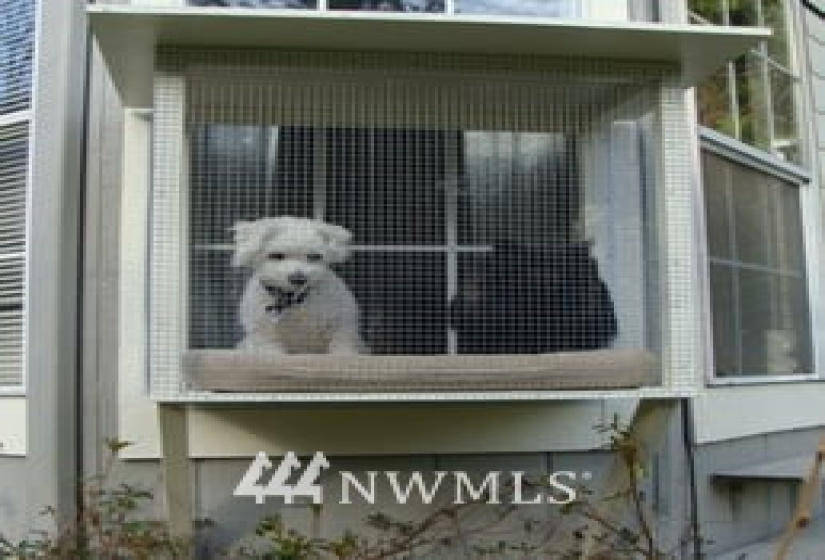 38000 88, Snoqualmie, Washington 98065, ,Business Opportunity,For Sale,88,NWM1852531