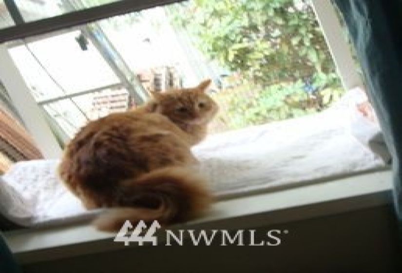 38000 88, Snoqualmie, Washington 98065, ,Business Opportunity,For Sale,88,NWM1852531