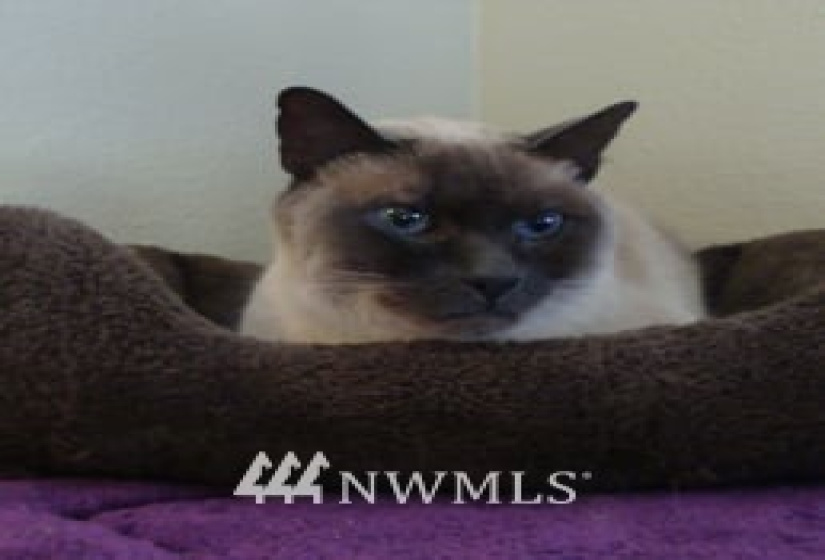 38000 88, Snoqualmie, Washington 98065, ,Business Opportunity,For Sale,88,NWM1852531