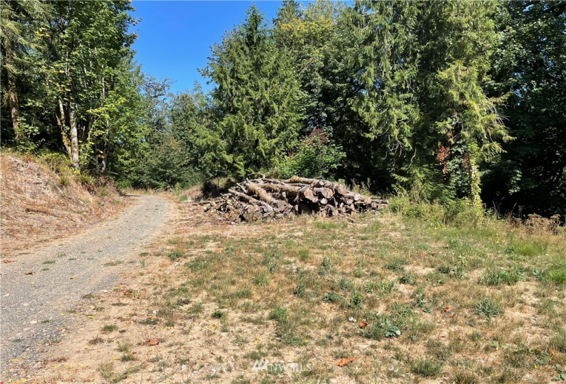 115 Newell, Castle Rock, Washington 98611, ,Land,For Sale,Newell,NWM1851754