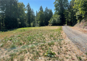 115 Newell, Castle Rock, Washington 98611, ,Land,For Sale,Newell,NWM1851754