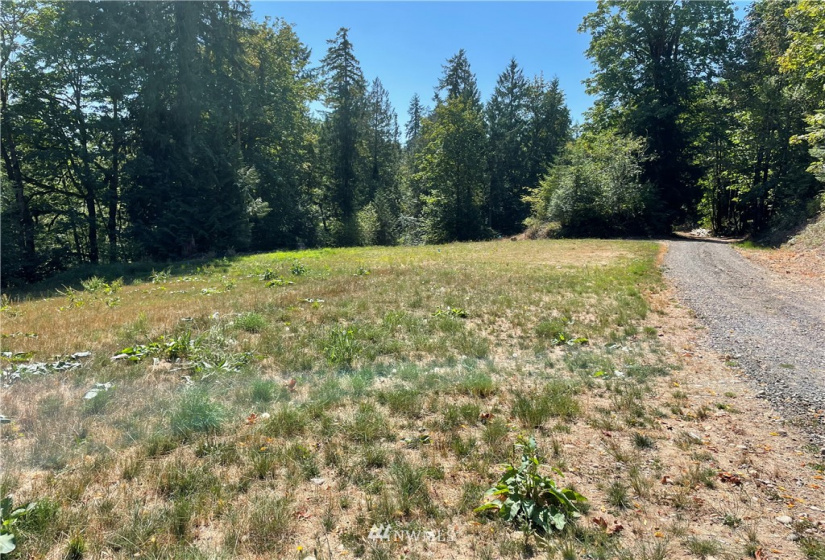 115 Newell, Castle Rock, Washington 98611, ,Land,For Sale,Newell,NWM1851754