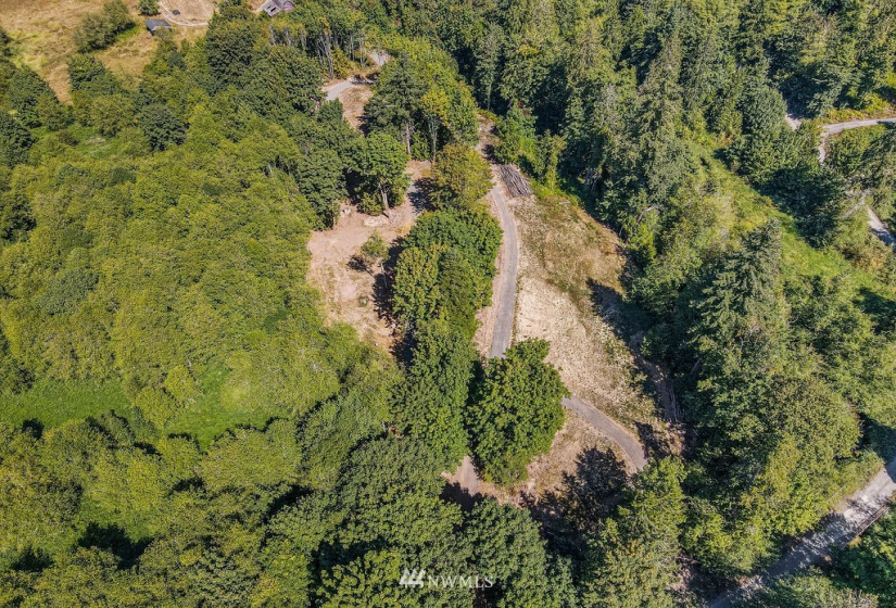 115 Newell, Castle Rock, Washington 98611, ,Land,For Sale,Newell,NWM1851754