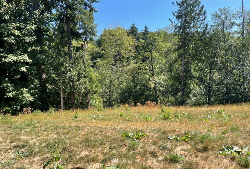 115 Newell, Castle Rock, Washington 98611, ,Land,For Sale,Newell,NWM1851754