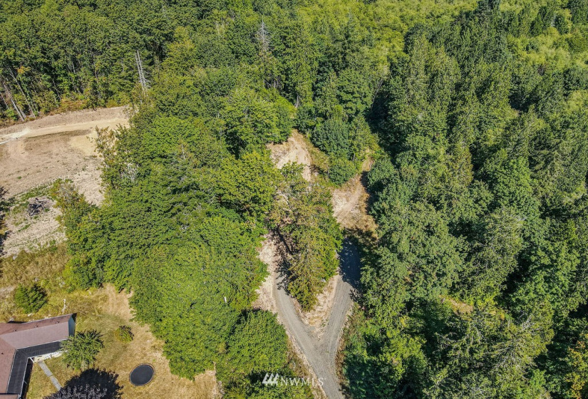115 Newell, Castle Rock, Washington 98611, ,Land,For Sale,Newell,NWM1851754