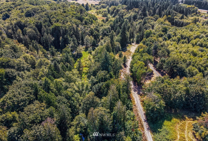 115 Newell, Castle Rock, Washington 98611, ,Land,For Sale,Newell,NWM1851754