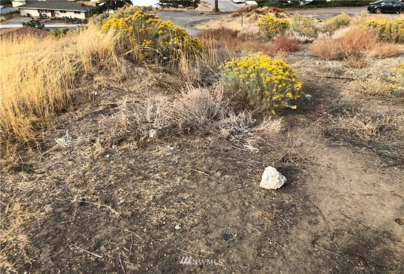 3033 Vine, East Wenatchee, Washington 98802, ,Land,For Sale,Parkview Short Plat,Vine,NWM1849247
