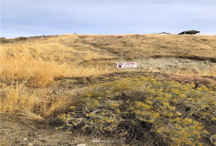 3033 Vine, East Wenatchee, Washington 98802, ,Land,For Sale,Parkview Short Plat,Vine,NWM1849247