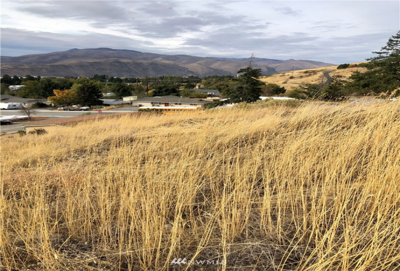 3033 Vine, East Wenatchee, Washington 98802, ,Land,For Sale,Parkview Short Plat,Vine,NWM1849247