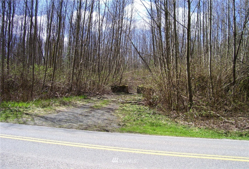 16800 Burn Road, Arlington, Washington 98223, ,Land,For Sale,Burn Road,NWM1852803