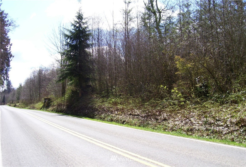 16800 Burn Road, Arlington, Washington 98223, ,Land,For Sale,Burn Road,NWM1852803