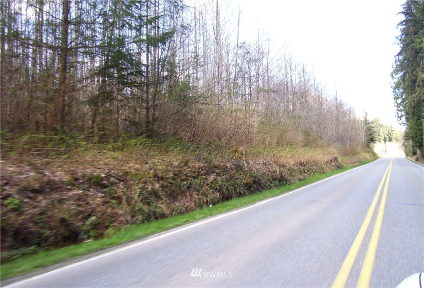 16800 Burn Road, Arlington, Washington 98223, ,Land,For Sale,Burn Road,NWM1852803
