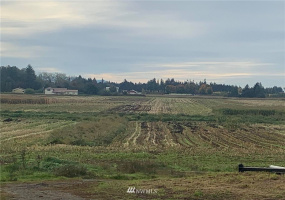 355 361 Wiser Lake, Ferndale, Washington 98248, ,Land,For Sale,Wiser Lake,NWM1852359