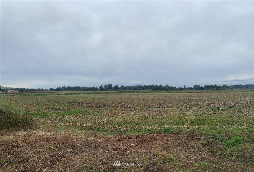 355 361 Wiser Lake, Ferndale, Washington 98248, ,Land,For Sale,Wiser Lake,NWM1852359