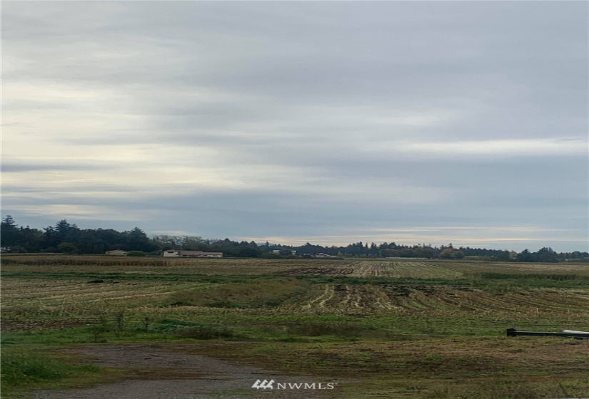 355 361 Wiser Lake, Ferndale, Washington 98248, ,Land,For Sale,Wiser Lake,NWM1852359