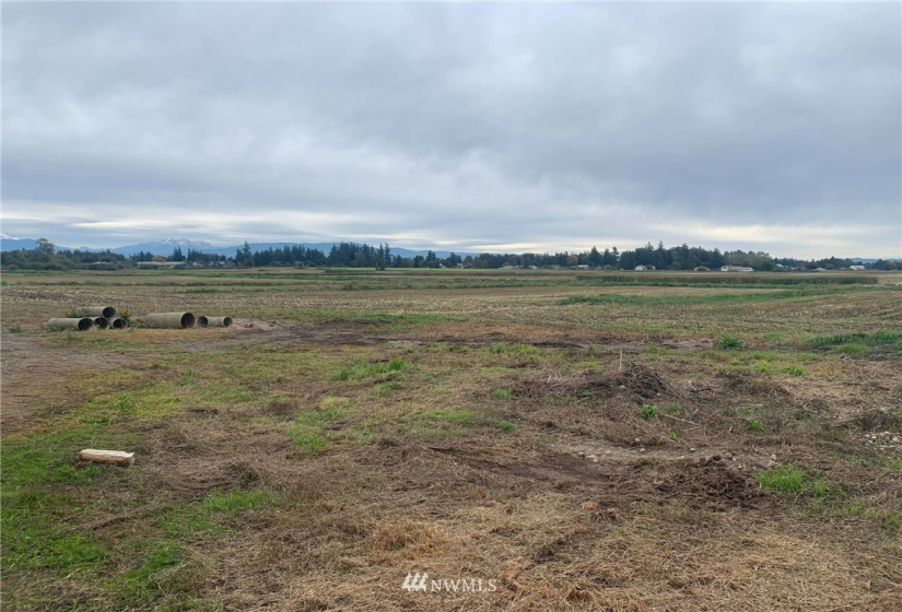 355 361 Wiser Lake, Ferndale, Washington 98248, ,Land,For Sale,Wiser Lake,NWM1852359
