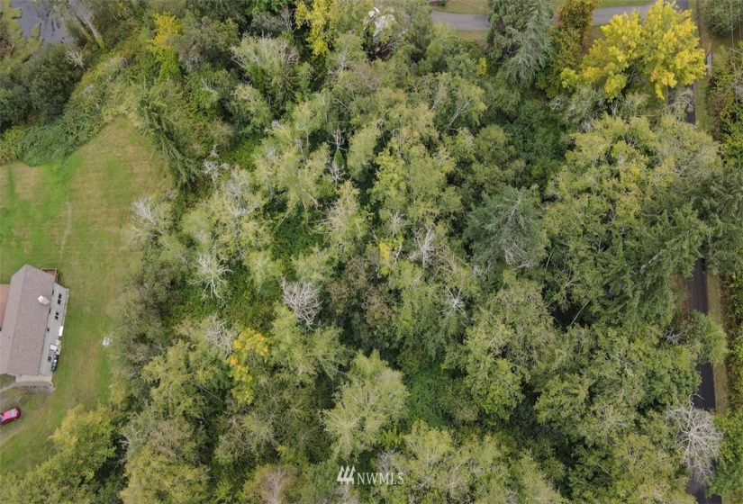 0 78th, Longbranch, Washington 98351, ,Land,For Sale,78th,NWM1850370