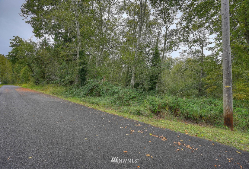 0 78th, Longbranch, Washington 98351, ,Land,For Sale,78th,NWM1850370