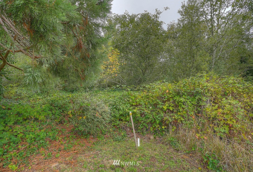 0 78th, Longbranch, Washington 98351, ,Land,For Sale,78th,NWM1850370