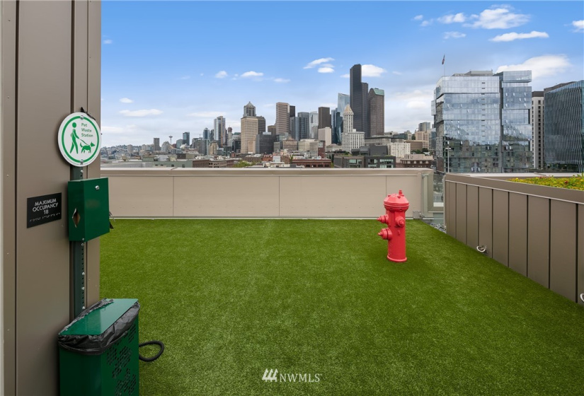 590 1st, Seattle, Washington 98104, 2 Bedrooms Bedrooms, ,1 BathroomBathrooms,Residential,For Sale,Gridiron,1st,NWM1851974