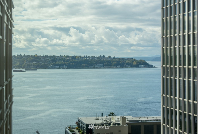 715 2nd, Seattle, Washington 98104, 2 Bedrooms Bedrooms, ,2 BathroomsBathrooms,Residential,For Sale,Millennium Tower,2nd,NWM1851993