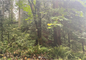 13 Wisteria, Bellingham, Washington 98229, ,Land,For Sale,Sudden Valley,Wisteria,NWM1853174