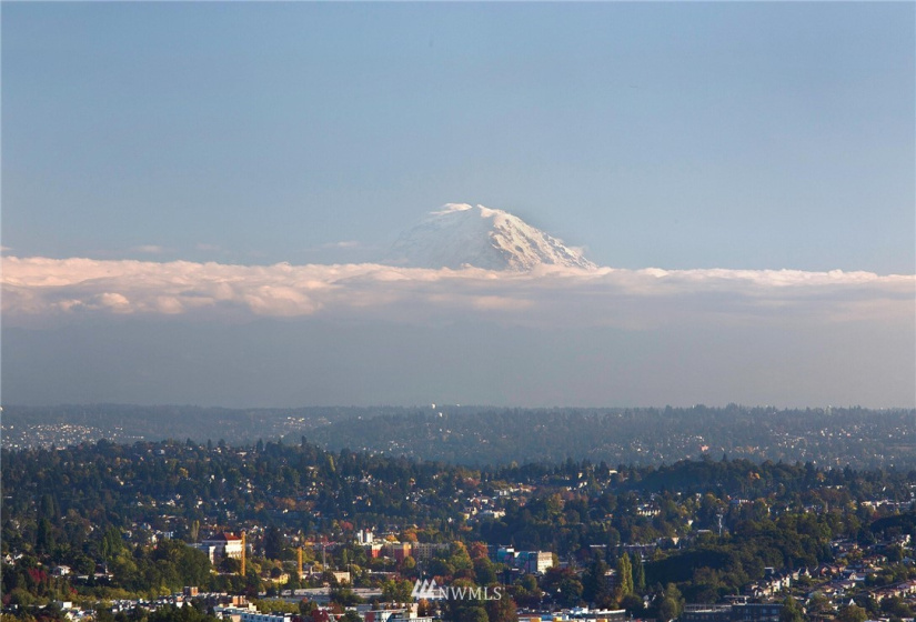 1301 Spring, Seattle, Washington 98104, 2 Bedrooms Bedrooms, ,1 BathroomBathrooms,Residential,For Sale,First Hill Plaza,Spring,NWM1848682