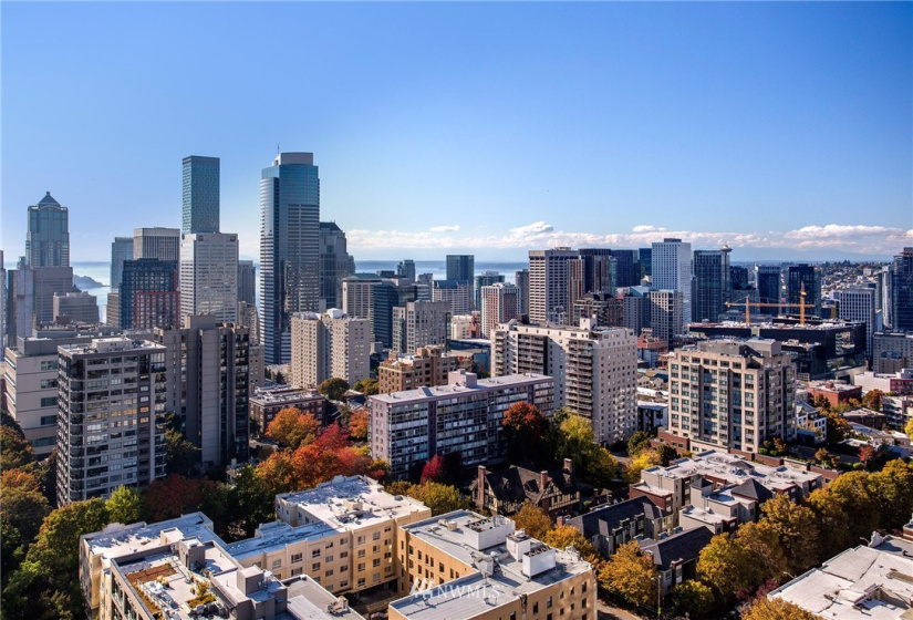1301 Spring, Seattle, Washington 98104, 2 Bedrooms Bedrooms, ,Residential,For Sale,First Hill Plaza,Spring,NWM1848696