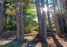 0 Star, Bellingham, Washington 98225, ,Land,For Sale,Star,NWM1852789