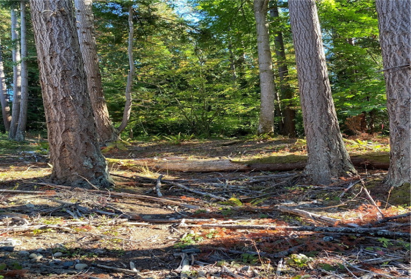 0 Star, Bellingham, Washington 98225, ,Land,For Sale,Star,NWM1852789