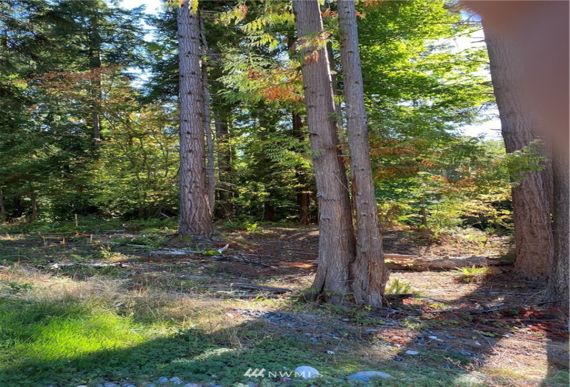 0 Star, Bellingham, Washington 98225, ,Land,For Sale,Star,NWM1852789