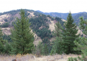 0 X Dent, Walla Walla, Washington 99362, ,Land,For Sale,Dent,NWM1853259