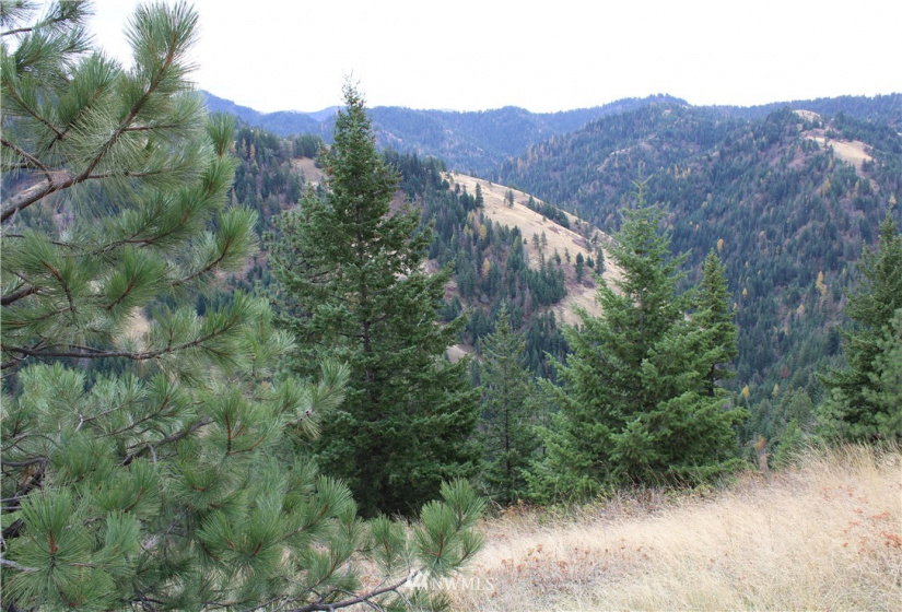 0 X Dent, Walla Walla, Washington 99362, ,Land,For Sale,Dent,NWM1853259