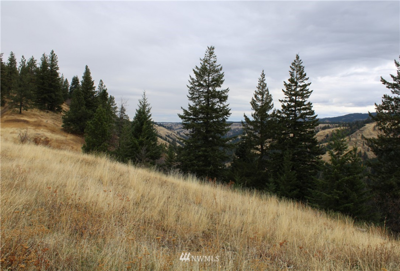 0 X Dent, Walla Walla, Washington 99362, ,Land,For Sale,Dent,NWM1853259