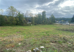 217 Washington, Eatonville, Washington 98328, ,Land,For Sale,Washington,NWM1853216