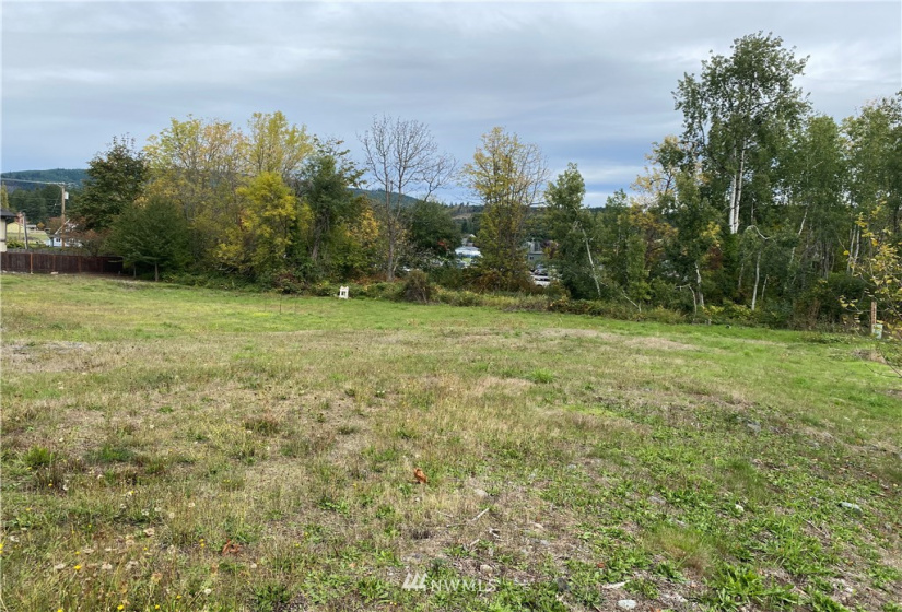 217 Washington, Eatonville, Washington 98328, ,Land,For Sale,Washington,NWM1853216