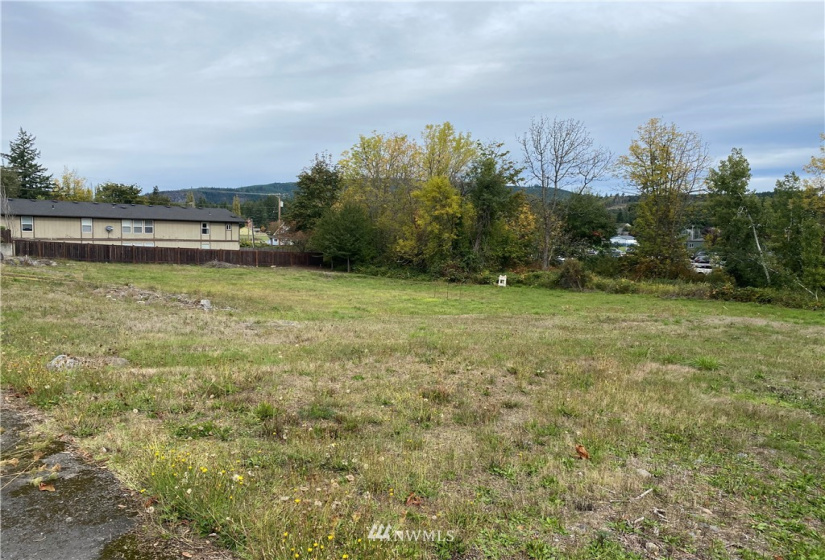 217 Washington, Eatonville, Washington 98328, ,Land,For Sale,Washington,NWM1853216
