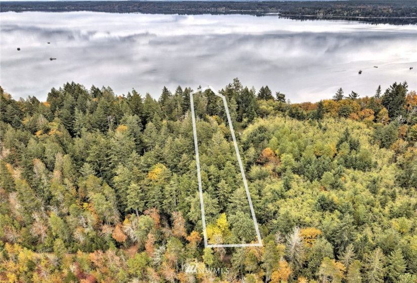 391 X North Island, Shelton, Washington 98584, ,Land,For Sale,North Island,NWM1853276