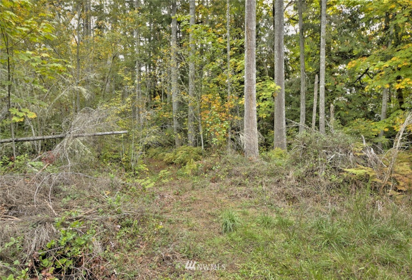391 X North Island, Shelton, Washington 98584, ,Land,For Sale,North Island,NWM1853276